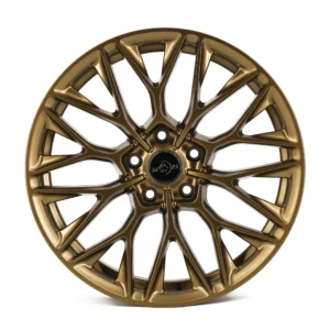 bronze rims